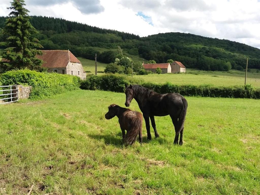 Gite Les Aubues Lormes Exterior foto